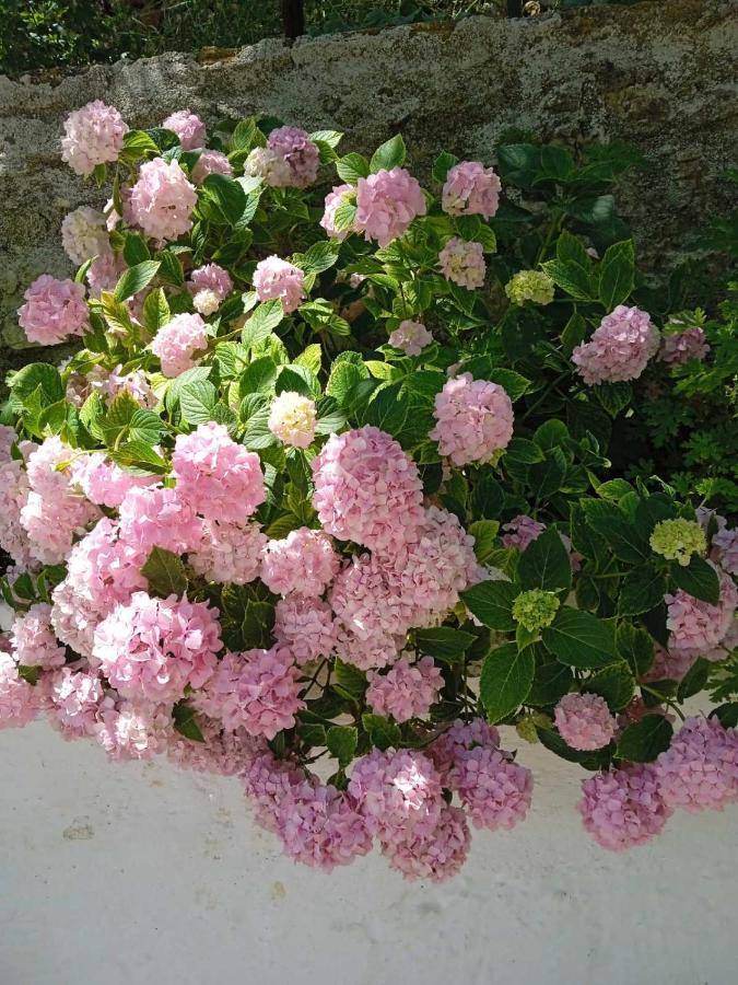 Country house Rosemary House Sarande